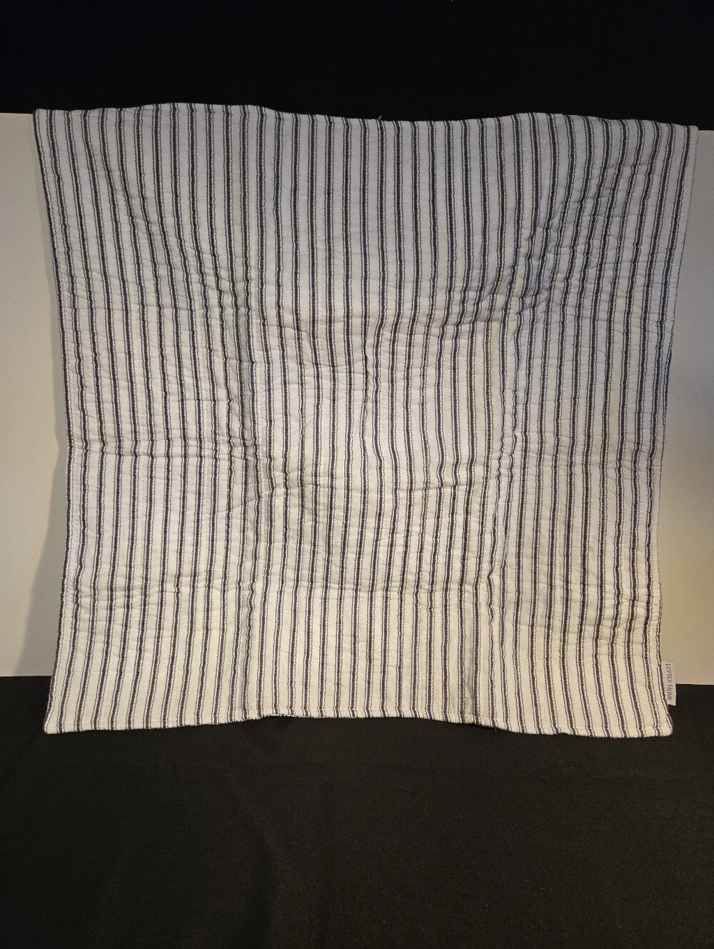 Tobago Stripe Charcoal Euro Sham Set of Two 26